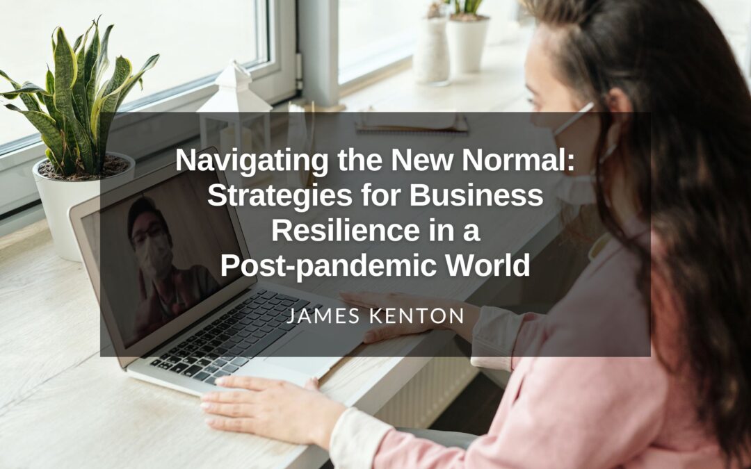 Navigating the New Normal: Strategies for Business Resilience in a Post-pandemic World